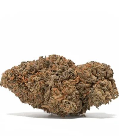 gods-gift-single-bud