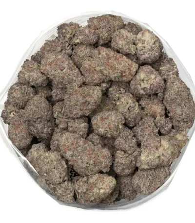 gods green crack purple marijuana buds covered in thc trichomes