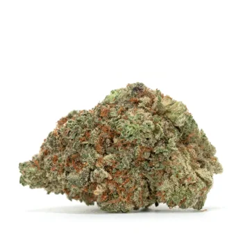 bud side view of goji oj strain