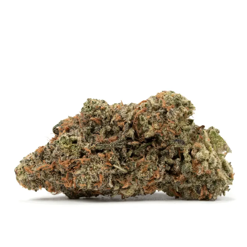 goudaberry goudaberry