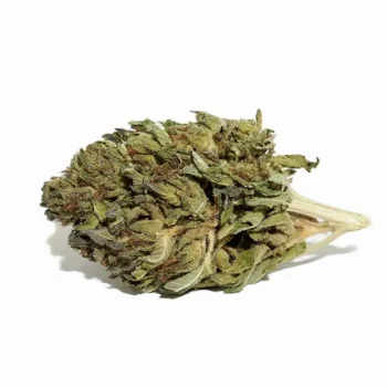 greenhouse weed strain