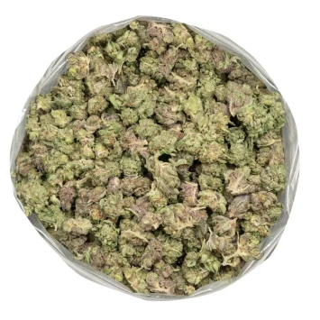 gucci-pink-popcorn bulk