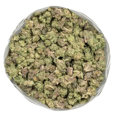 gucci-pink-popcorn bulk