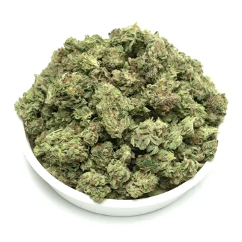 gucci pink weed strain buds