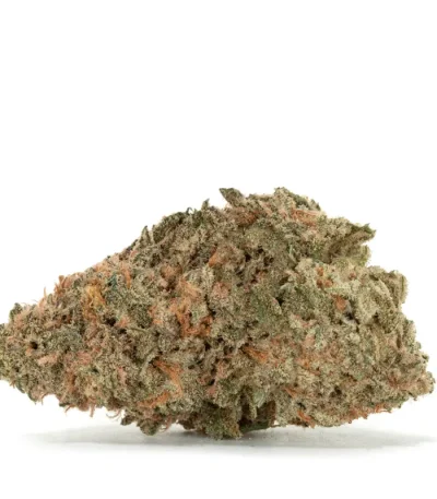hempstar-strain-dense-bud-with-trichomes