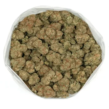 ice wine strain sticky cannabis flowers