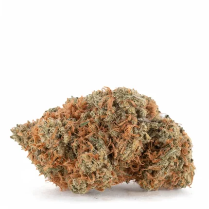 jelly-rancher-strain