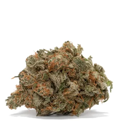 jet-fuel-strain-dense-sticky-bud