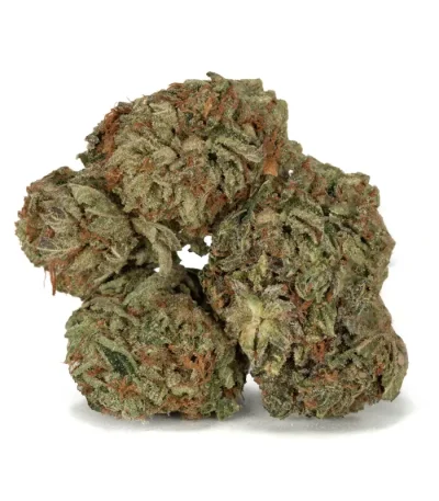 King Kush weed strain buds