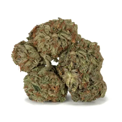 King Kush weed strain buds