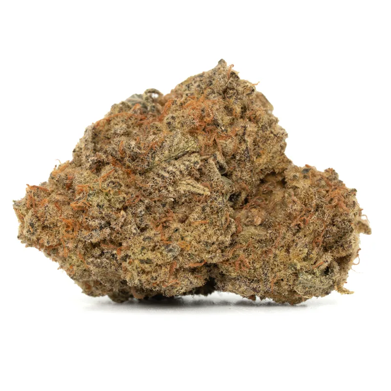 king louis strain king louis strain