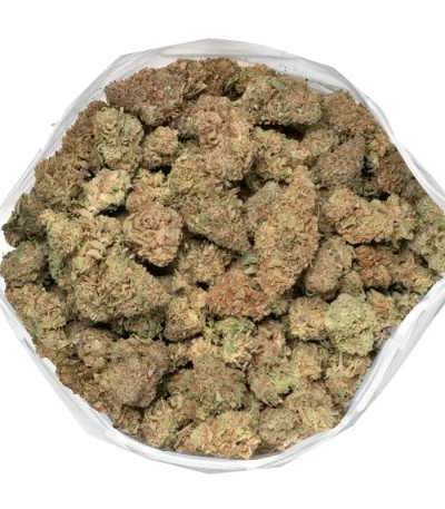 Close-up of orange cookies strain resinous trichome coating, highlighting its potency