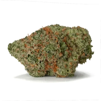 Mac Donuts weed strain
