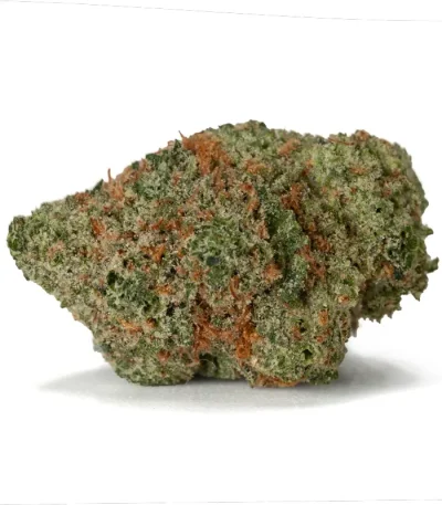 Mac Donuts weed strain