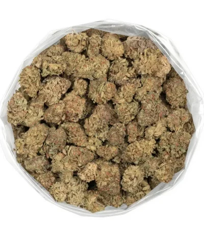 macro birdseye close up Acapulco Gold buds shot