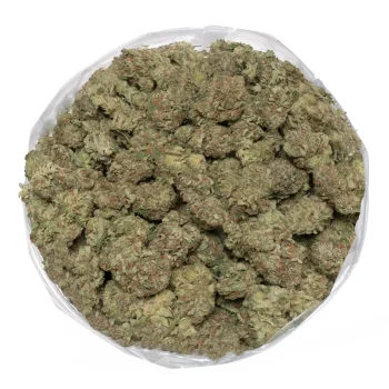 Pink Bubba