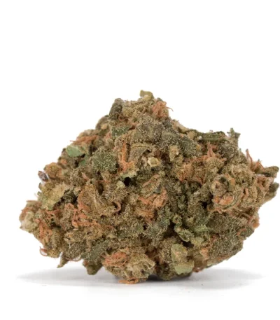 macro-photo-of-a-area-51-marijuana-bud