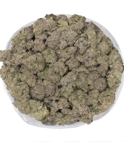 macro photo of gucci pink weed covered in thick thc trichomes