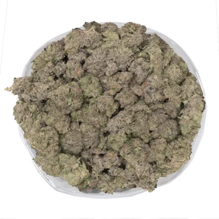 macro photo of gucci pink weed covered in thick thc trichomes