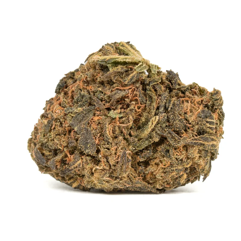 mango haze strain trichome covered bud mango haze strain trichome covered bud