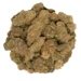 Melon Gum - Image 3