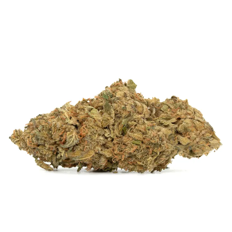 melon gum strain Melon Gum - Image 1