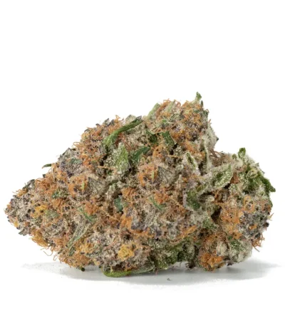 Close-up of frosty Moonberry cannabis bud with purple hues