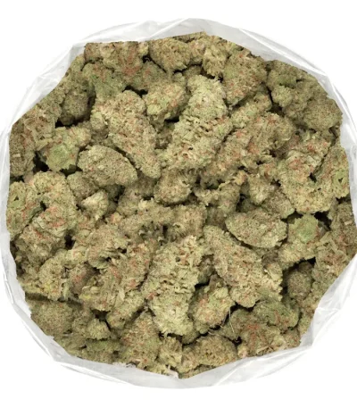 northern lights strain trichome covered marijuana flowers