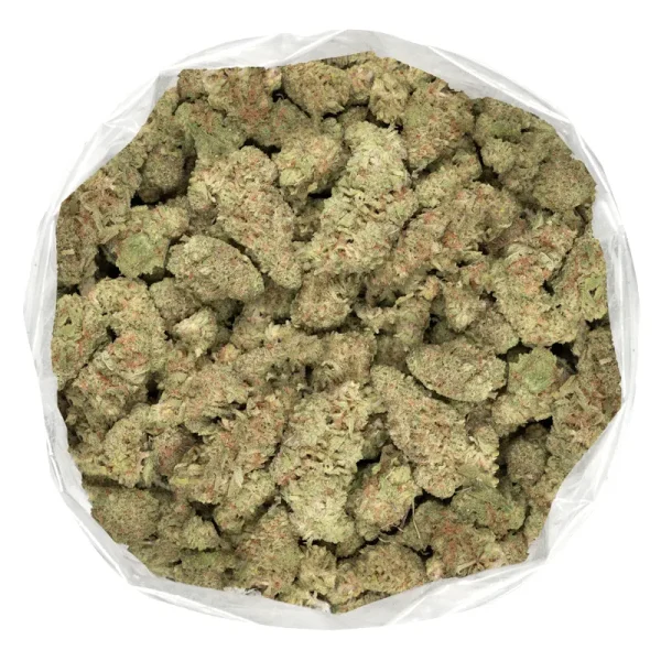 northern lights strain trichome covered marijuana flowers