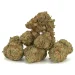 nuken strain cluster of marijuana buds