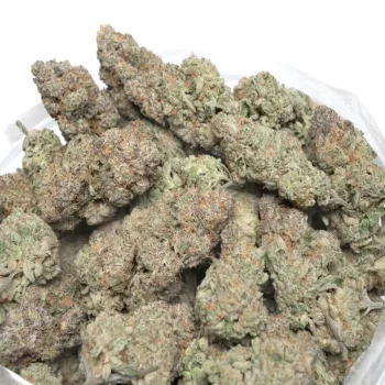 macro closeup photo showcasing the beautical trihcomes and buds of the obama kush strain