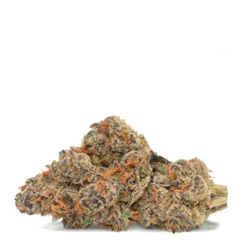 pave single bud