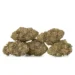 pile of atomic kush dried cannabis flower