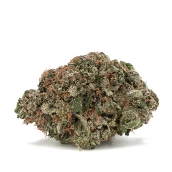 Pink Bubba