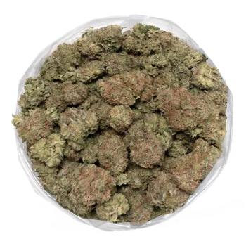 Pink Kush