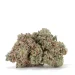 pink-man-goo-strain