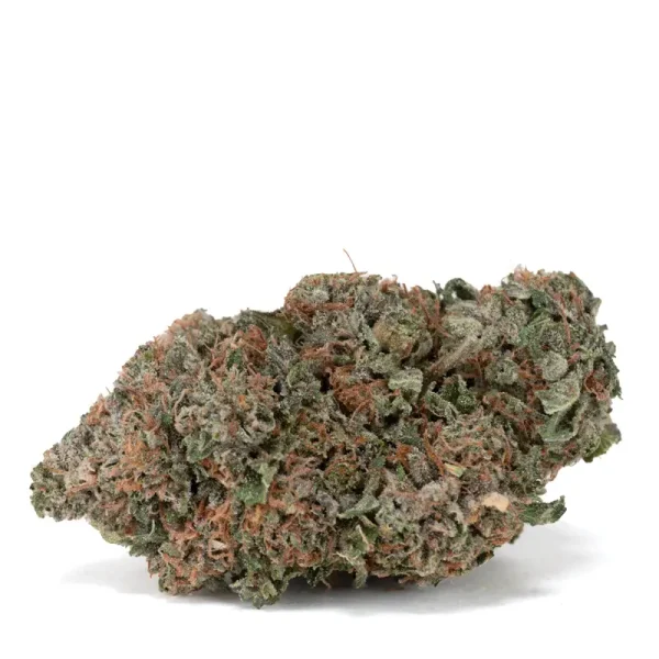 platinum-bubba