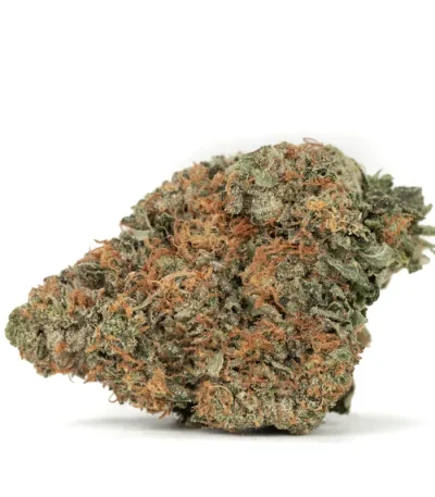 platinum kush strain