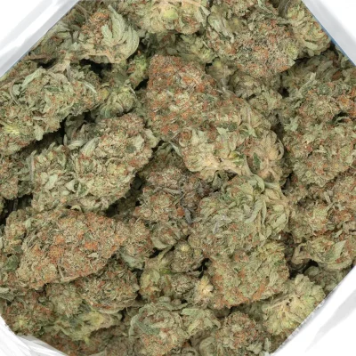 platinum kush strain chunky marijuana flowers