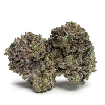 purple-death-bubba