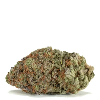 purple-haze-strain
