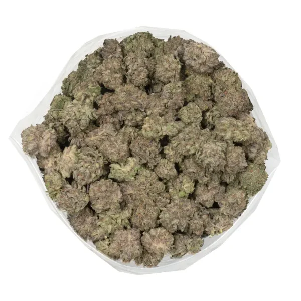 close photo showcasing purple kush buds displaying purple hues and purple leaves with thick layers if trichomes