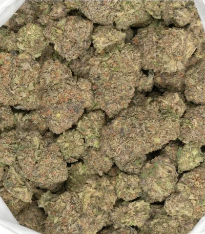 purple mku marijuana buds detailed closeup