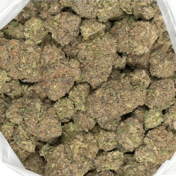 purple mku marijuana buds detailed closeup