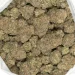 purple mku marijuana buds detailed closeup
