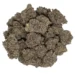 resin rich black mamba strain weed