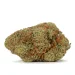 scout master strain marijuana flower