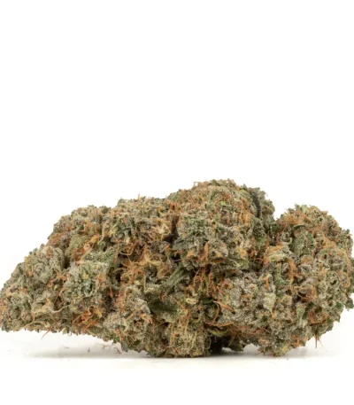 sherb cream pie strain