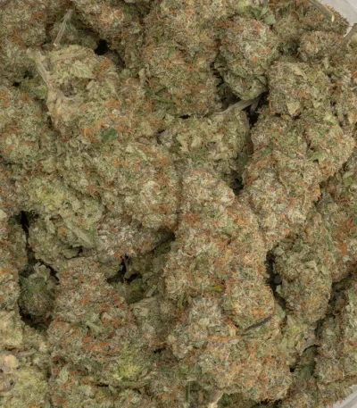 sherb cream pie strain macro closeuo