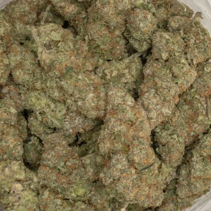 sherb cream pie strain macro closeuo